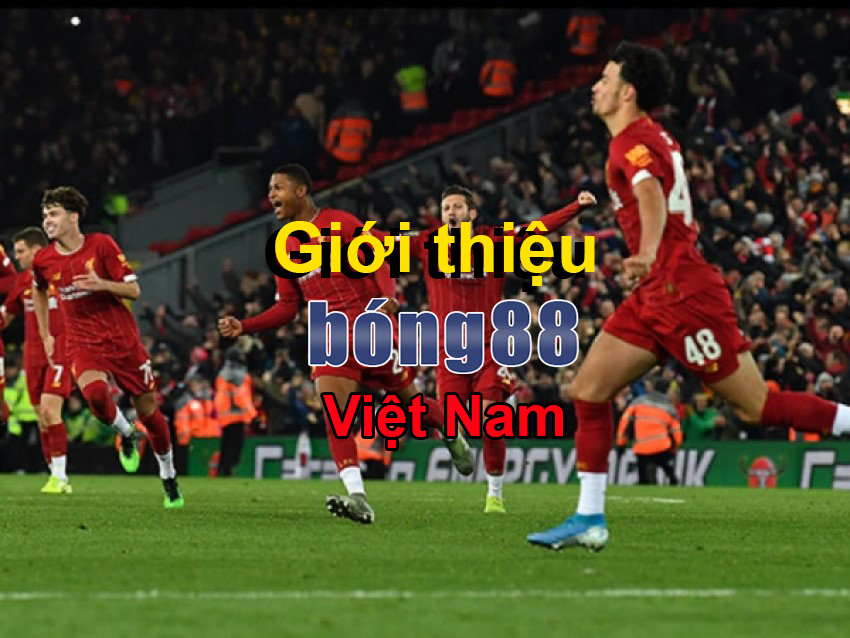 Bong88Viet